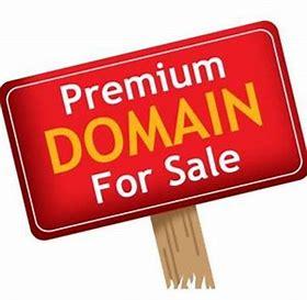 icann wrongly allowed unscrupulous registries .biz to mark owned domains as premium and raise their prices